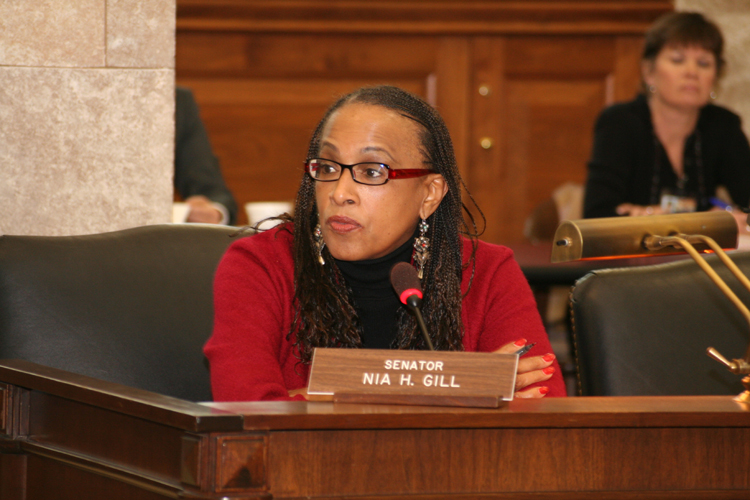 Senator Nia Gill, D-Essex, questions a speaker at the Senate Judiciary Committee meeting.