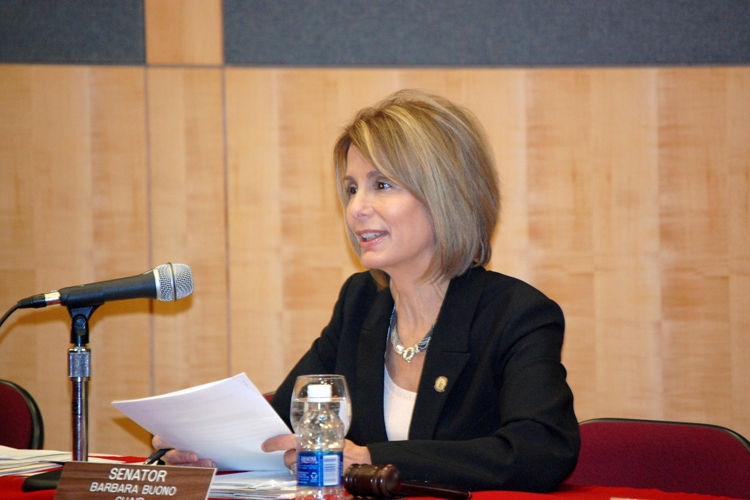 Senate Budget and Appropriations Committee Chair, Senator Barbara Buono, D-Middlesex, address the public at the Committee's first public hearing regarding Governor Corzine's proposed FY 2009 Budget.