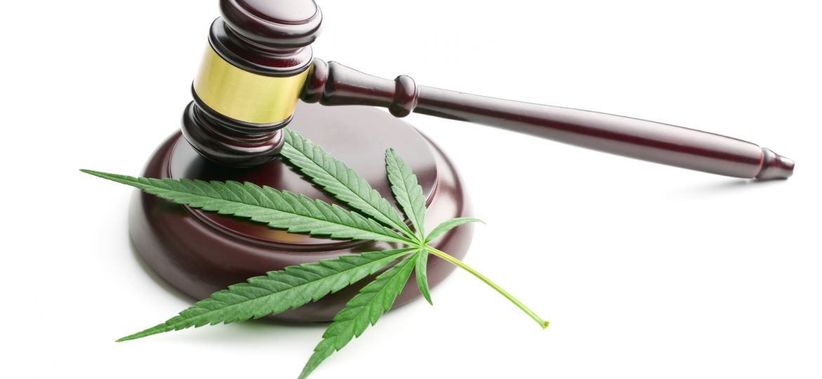 cannabis leaf and judge gavel